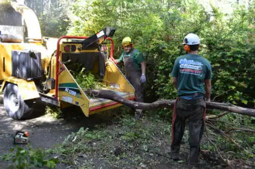 tree services Benson